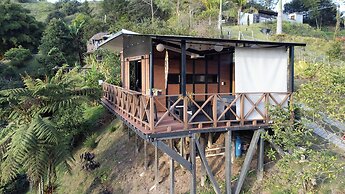 Roots Eco House