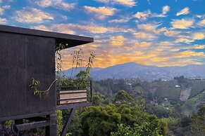 Roots Eco House
