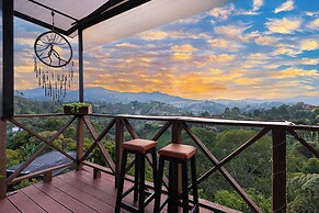 Roots Eco House