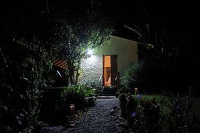 Roots Eco House