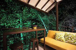 Roots Eco House