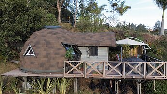Roots Eco House