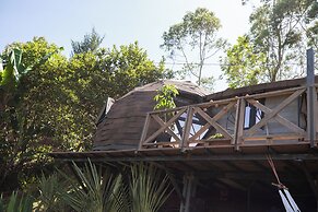 Roots Eco House