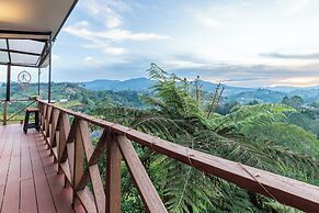 Roots Eco House