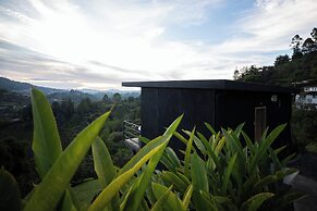 Roots Eco House