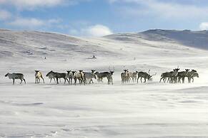 Luxury Holiday Home, Skiing, Sauna, Remote Office