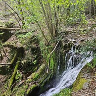 Les Hôtes du Châtaignier