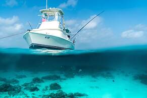 Ruby 72