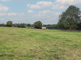 The Cow Shed