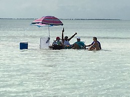 Hibisco Belize