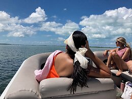 Hibisco Belize