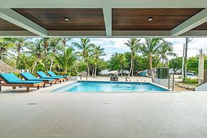 Hibisco Belize