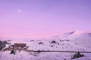 Ceylan Splend'or Uludag, Autograph Collection