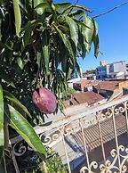 Cuba linda
