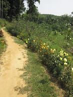 Shantibari Eco Resort