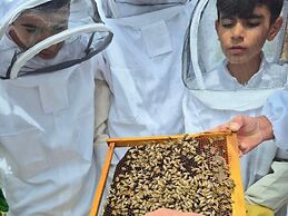 Bee Planet Guest House