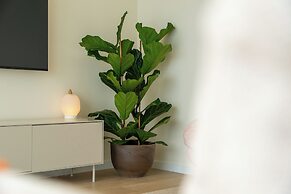 Eco Faja Villas