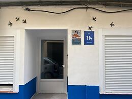 Golondrinas de Alicante.