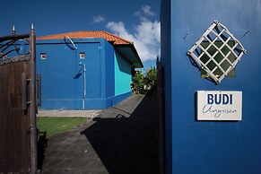 Budi ungasan