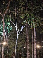 Lainkalogos Glamping