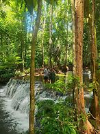 Lainkalogos Glamping
