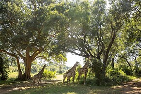 Karongwe - Noka House
