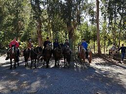 La Polcura Lodge Turismo