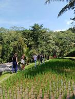 Tetebatu Valley Bungalows