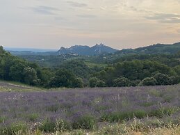 Farmhouse With Swimming Pool in Provence