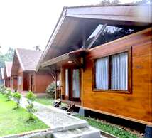 PAVO RESORT