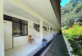 PAVO RESORT