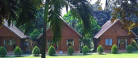PAVO RESORT