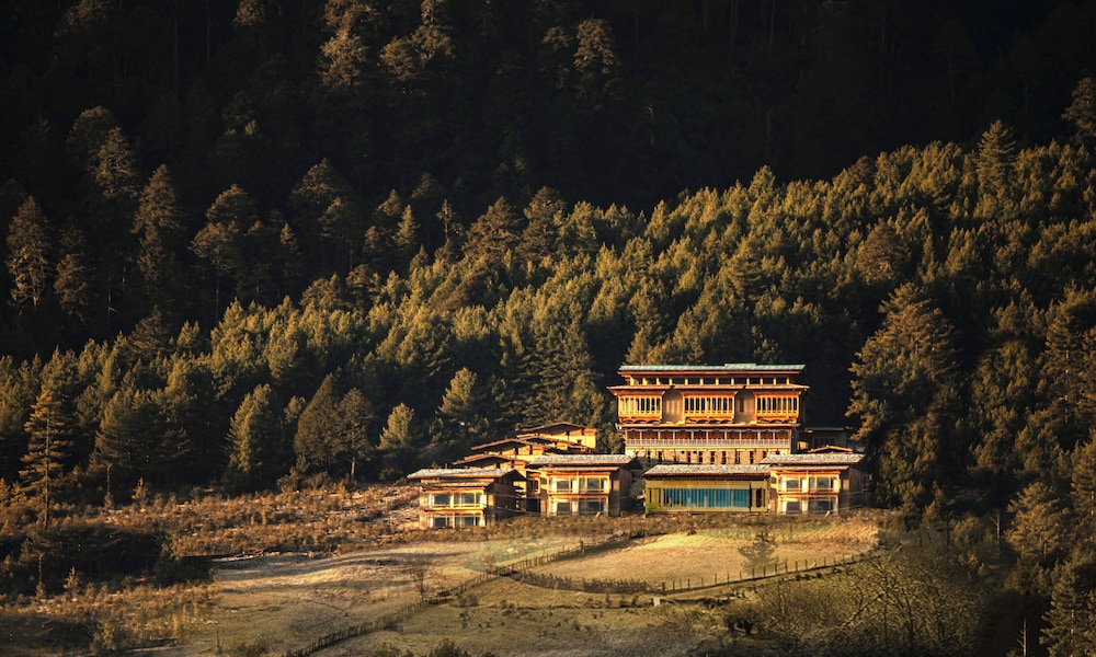 Taj Gangtey Resort And Spa