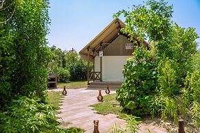 T-Rex Glamping, Dubai Parks and Resorts