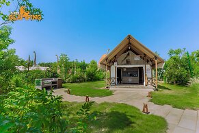 T-Rex Glamping, Dubai Parks and Resorts