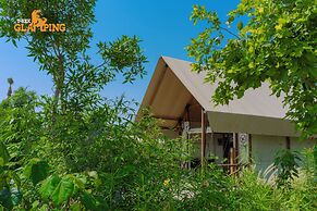 T-Rex Glamping, Dubai Parks and Resorts