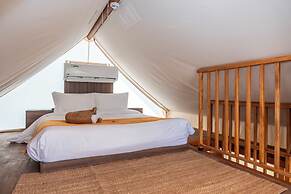 T-Rex Glamping, Dubai Parks and Resorts