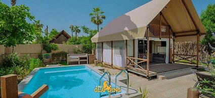 T-Rex Glamping, Dubai Parks and Resorts