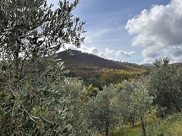 Historic Farmhouse Casa del Chiodo