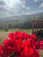 Historic Farmhouse Casa del Chiodo