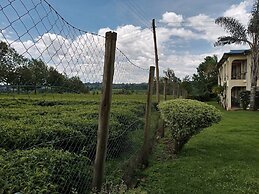 The Exotic House Kericho