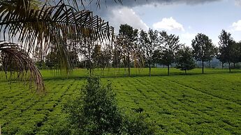 The Exotic House Kericho