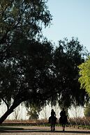 Awasi Mendoza