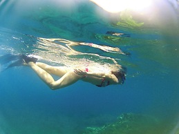 Jungle Bay Dominica