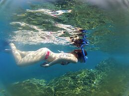 Jungle Bay Dominica