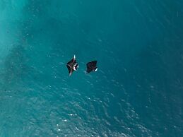 Nest by Hawks Hotels Kamadhoo Baa Atoll
