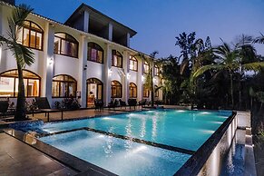 Aeraki palms
