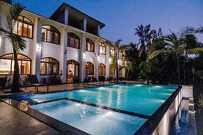 Aeraki palms