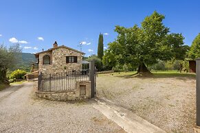 Oliveto Del Cantarello