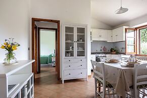 Oliveto Del Cantarello